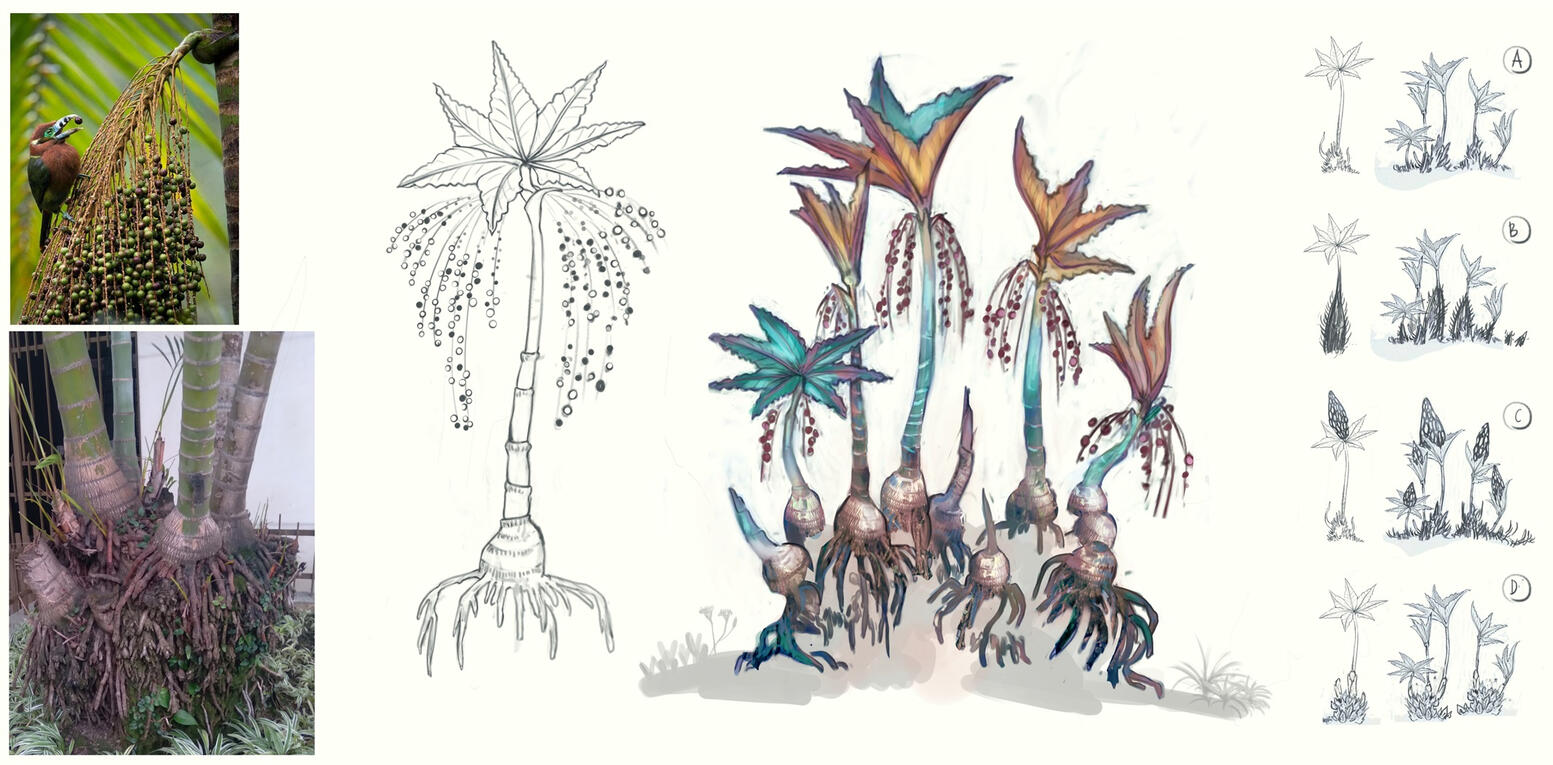 flora: planet Coral flora: planet Coral