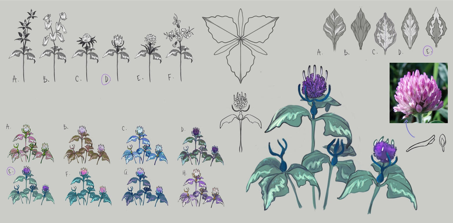 flora: planet Coral flora: planet Coral