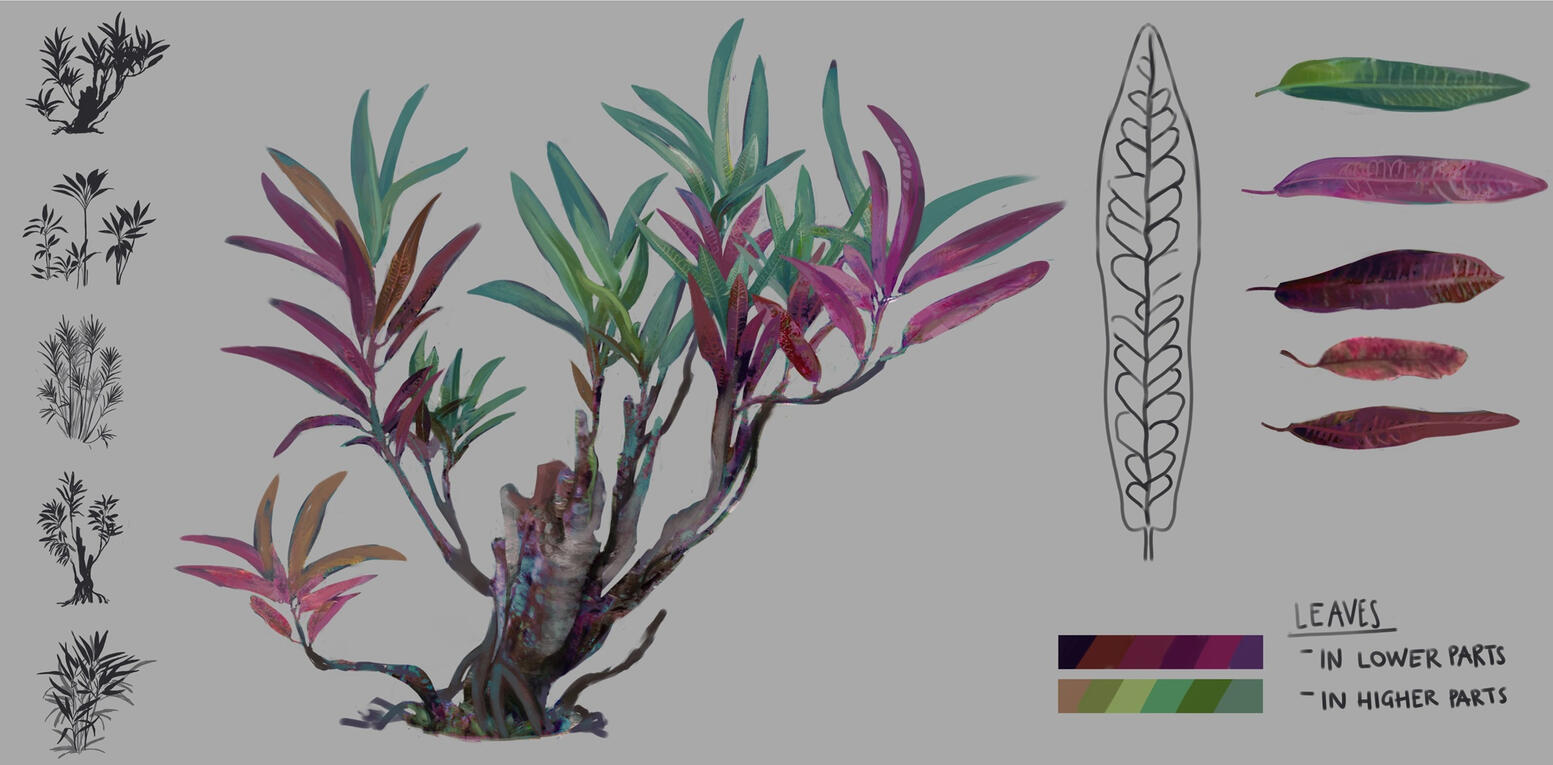 flora: planet Coral flora: planet Coral