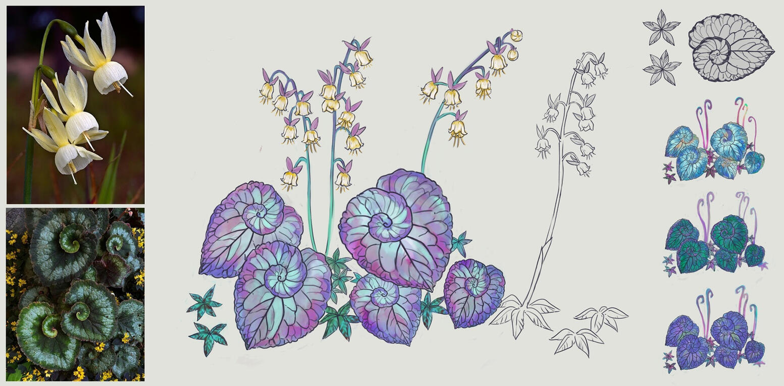 flora: planet Coral flora: planet Coral